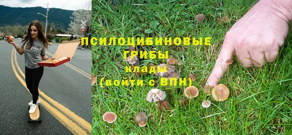 кристаллы Горнозаводск